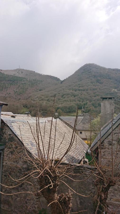 Appartement Dans Ancienne Maison Pyreneenne. Cadeac Екстер'єр фото